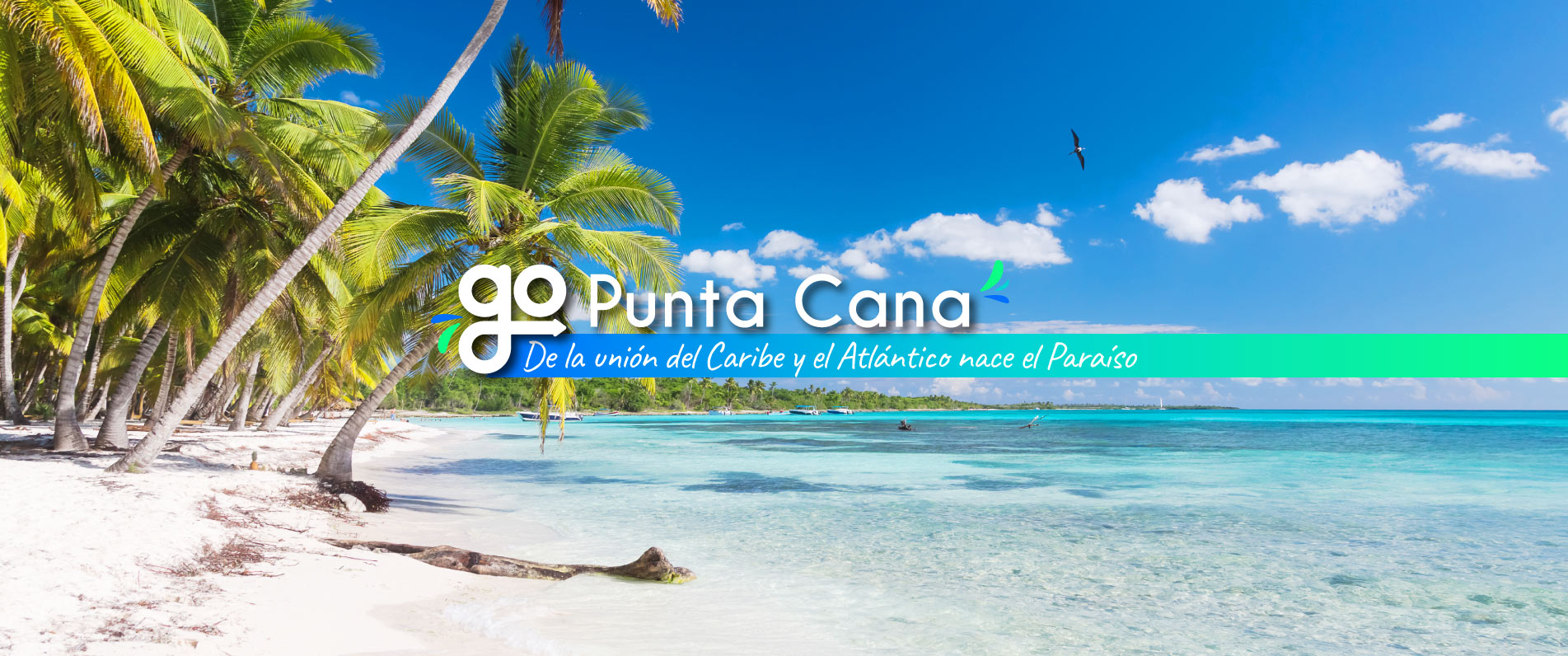 GoPunta Cana